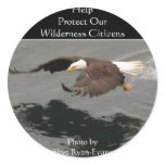 Hunting Bald Eagle Gift Item Round Stickers