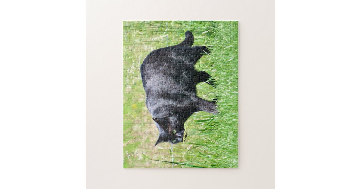 black cat puzzle