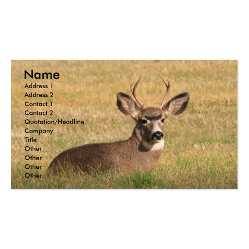hunting Business Cards Zazzle