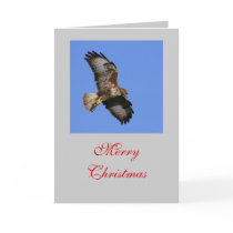 Hunting Buzzard Card