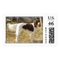 Hunting Dog postage by louannp Hunting Dog postage