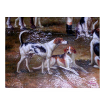 Hunting Dogs at Rest, Pre 1900 posters by Rice888 Hunting Dogs at Rest, Pre 1900 posters