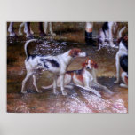 Hunting Dogs at Rest, Pre 1900 posters
