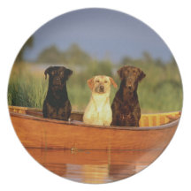 Hunting Dogs Party Plate