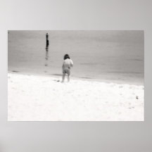 Hunting for Sea Shells Poster