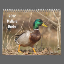 Hunting Mallard Ducks Calendar calendars