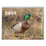 Hunting Mallard Ducks Wall Calendars
