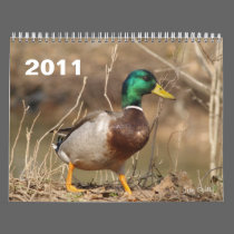 Hunting Mallard Ducks calendars