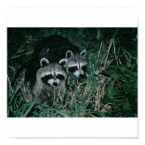 Hunting Time Poster/Print