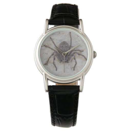 Huntsman_Spider,_Ladies_Black_Leather_Watch Wrist Watches | Zazzle