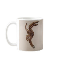 Huntsman Spider mugs