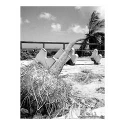 Hurricane at Lake Worth Beach print