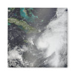 Hurricane Ernesto magnets