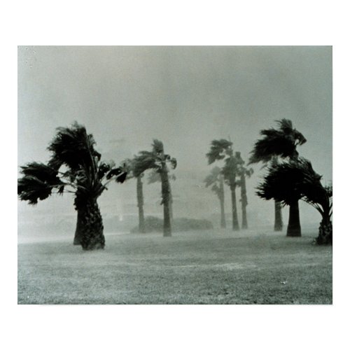 Hurricane print