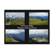 Hurricane Ridge postcard by northwestcards Hurricane Ridge postcard