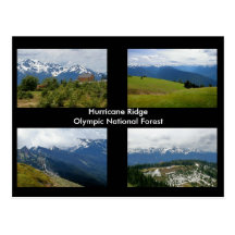 Hurricane Ridge postcard