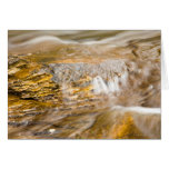 Hurricane River Detail Greeting Card