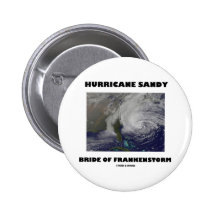 Hurricane Sandy Bride Of Frankenstorm Pin