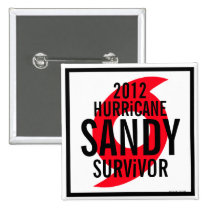 Hurricane Sandy Survivor 2012 Button 1 buttons
