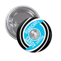 Hurricane Sandy Survivor 2012 Button 4 buttons