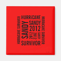 Hurricane Sandy Survivor Flag Magnet 4 magnets