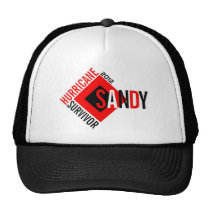 Hurricane Sandy Survivor Hat 2 hats