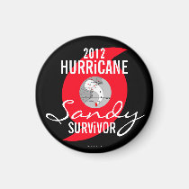 Hurricane Sandy Survivor Magnet 5 magnets