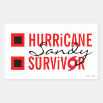 Hurricane Sandy Survivor Sticker 3 stickers