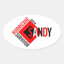Hurricane Sandy Survivor Sticker 6 stickers
