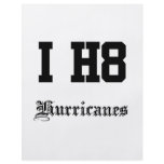 hurricanes flyers