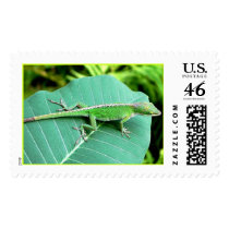 Hurt Tail postage