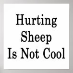 Hurting Sheep Is Not Cool Posters