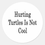 Hurting Turtles Is Not Cool Round Sticker