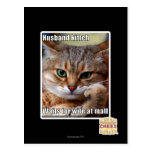 Husband Kitteh postcards