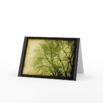 Hushed Anticipation 1, greeting card or note card cards