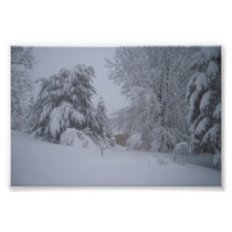 Hushed Snowfall Photo Art