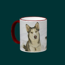Huskies In The Snow mugs