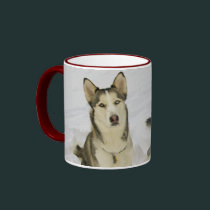 Huskies In The Snow mugs