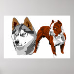 Husky and Pitbull print