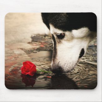 Husky and Red Rose Photography Mousepad mousepad