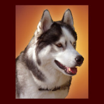 Husky Art Print Sled Dog Art Poster Husky Gifts posters