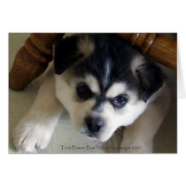 Husky cards by BowNRanch Husky cards