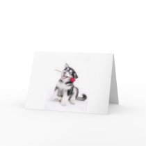 husky cards by yso910124 husky cards