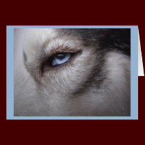 Husky Card Blank Sled Dog Husky Card cards
