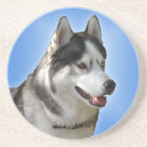 Husky Coaster Husky Malamute Sled Dog Coaster coasters
