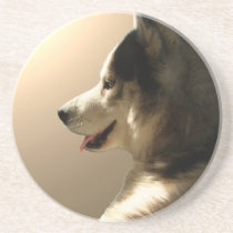 Husky Coaster Husky Malamute Wolf Dog Coaster coasters