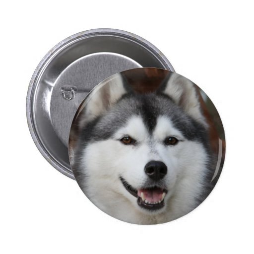 Husky Dog Button
