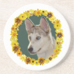 Husky Dog Circle of Flowers Beverage Coasters