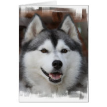 Husky Dog Greeting Card