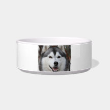 Husky Dog  Pet Bowl
